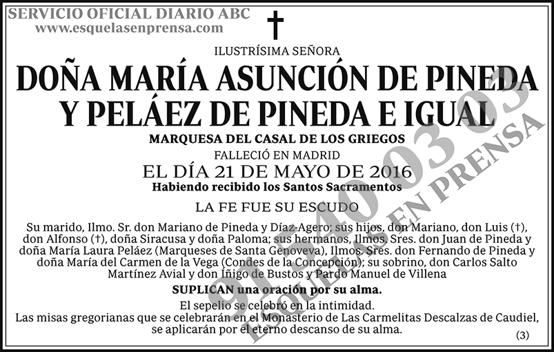 María Asunción de Pineda y Peláez de Pineda e Igual
